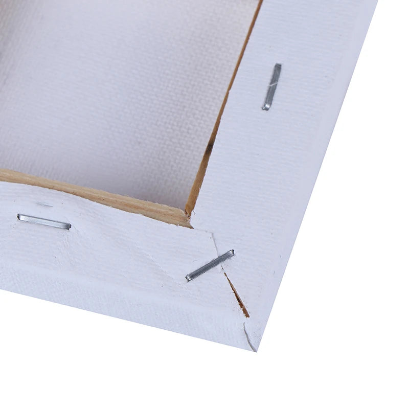 Pack of 1 Stretched Canvases for Painting Primed White 100% Cotton Artist Blank Canvas Boards for Painting 8 oz Gesso-Primed