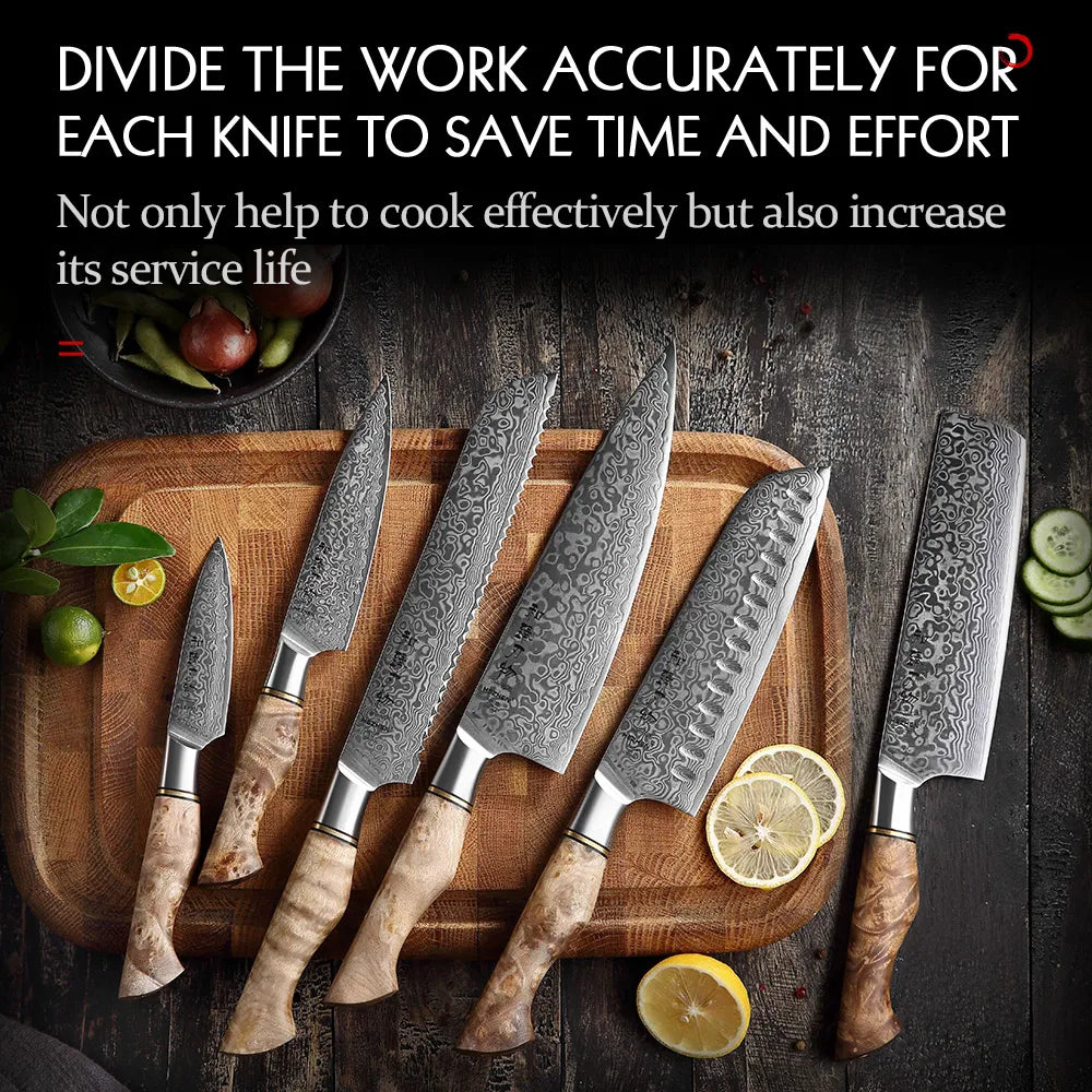 HEZHEN Kitchen Knife Set 1pc 2pc 3pc 5pc 6pc Cook Knife 67 Layer Damascus Steel 10Cr15CoMoV Core Steel Professional Kitchen Tool