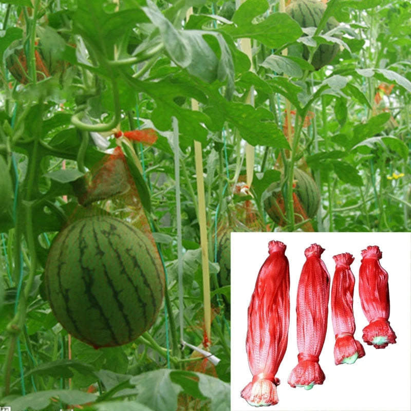 100pcs Watermelon Net Durable Heavy Duty Watermelon Hammock for Garden Yard G5AB