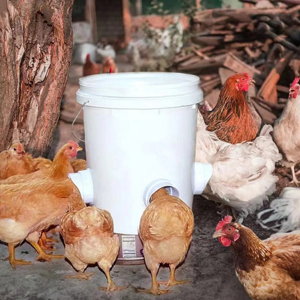 Chicken Gravity Feeder Poultry Feeding Supplies DIY Rainproof Feeder Port Kit For Bucket Tank Barrels Bins Gravity Feed Kit