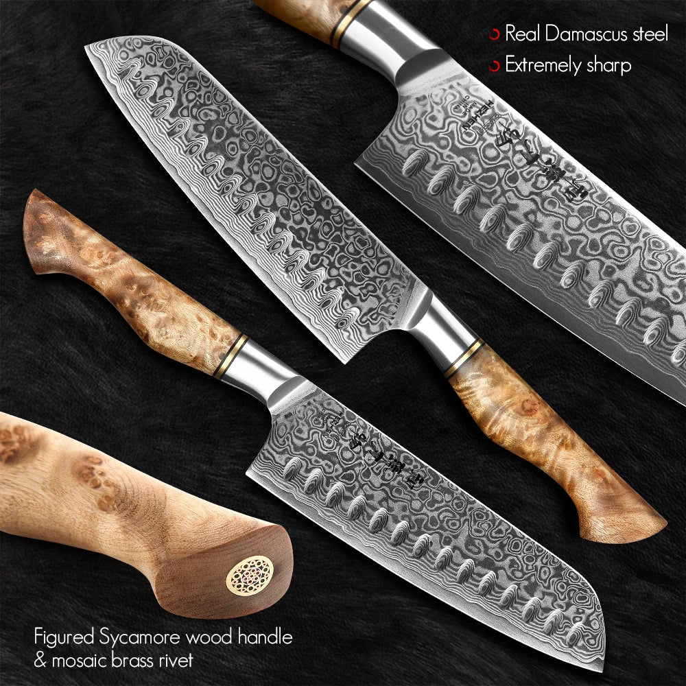 HEZHEN Kitchen Knife Set 1pc 2pc 3pc 5pc 6pc Cook Knife 67 Layer Damascus Steel 10Cr15CoMoV Core Steel Professional Kitchen Tool