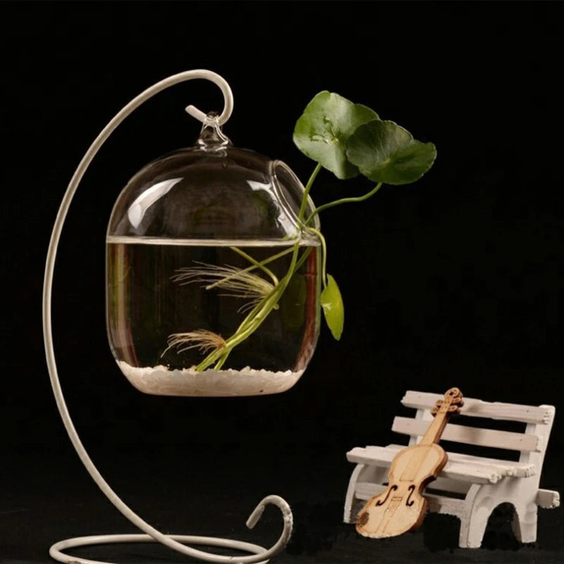 Suspended Transparent Hanging Glass Fish Tank Infusion Bottle Aquarium Flower Pl