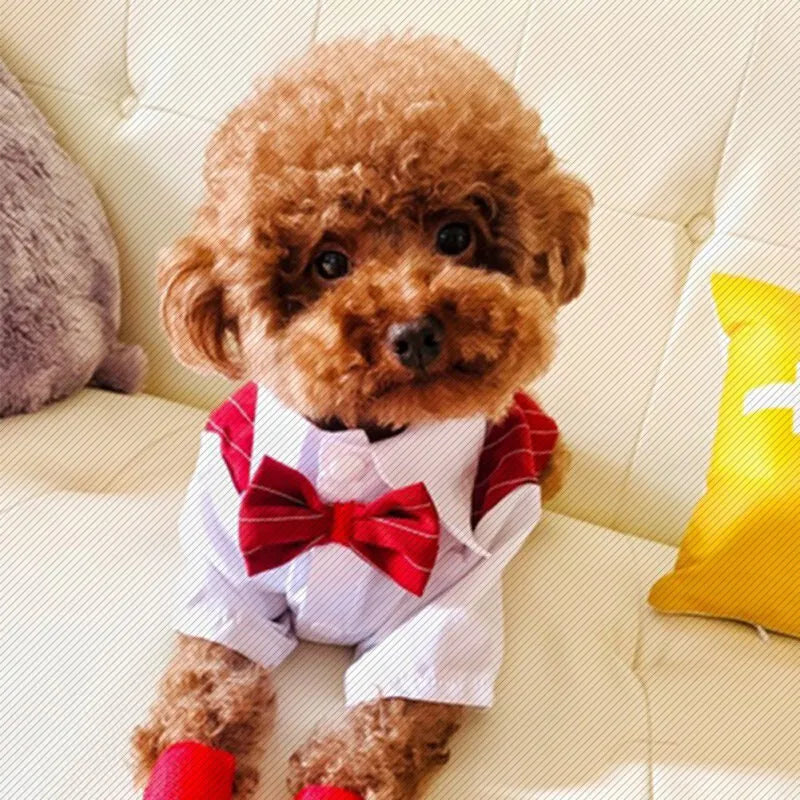 Dog Gentleman Wedding Suit Clothes Formal Shirt Pet Outfit Halloween Christmas Dog Costume For Small Dogs Bowtie Tuxedo