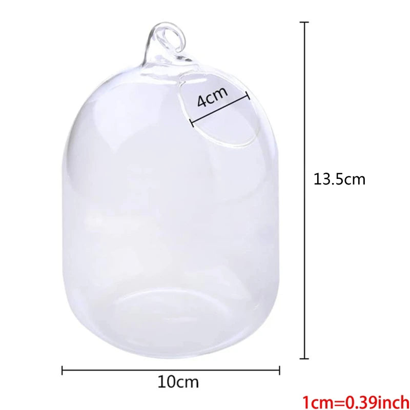 Suspended Transparent Hanging Glass Fish Tank Infusion Bottle Aquarium Flower Pl