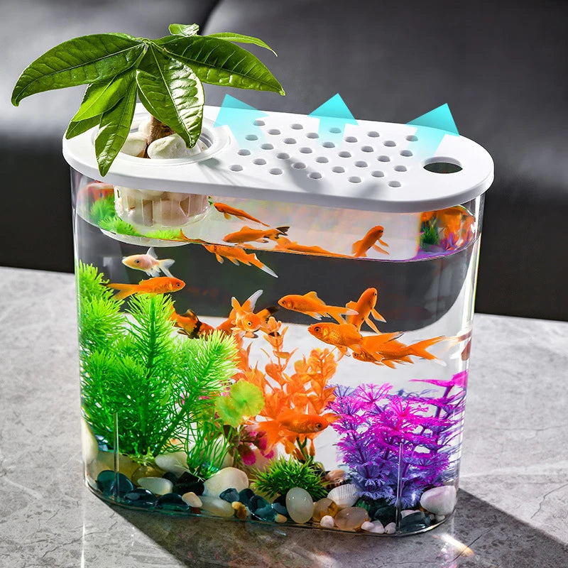 Creative Desktop Goldfish Tank With Green Plants Transparent Small Fishbowl With Cover Oval Aquarium Turtle Hydroponic Fish Tank