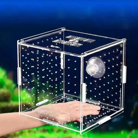 Aquarium Isolation Box Acrylic Fish Tank Isolation Box Hatchery Incubator with Suction Cups Single Grid Double Grid