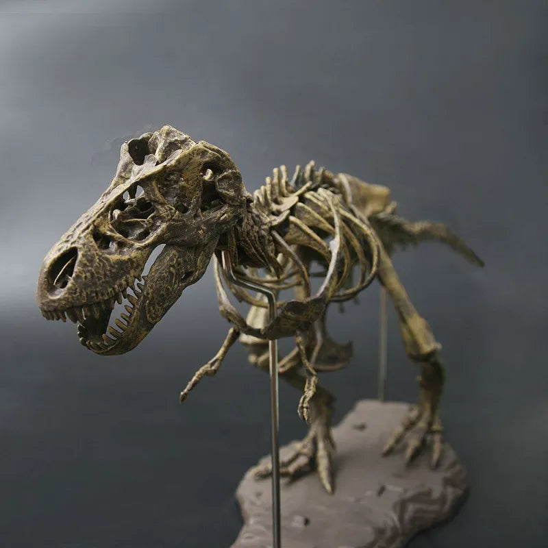 70cm DIY Dinosaur Skeleton Toys Ornament Simulation T-Rex Model Jurassic Assembled Skeleton Park Fossilized Tyrannosaurus Dragon