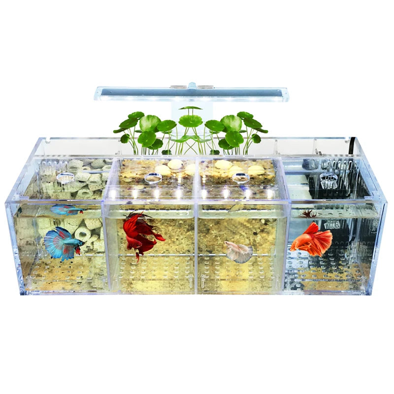 Acrylic Micro Small Fish Tank  Desktop Mini  Aquarium Betta Tank Plastic Fish Bowl  Turtle Tank  Plastic Fish Bowl