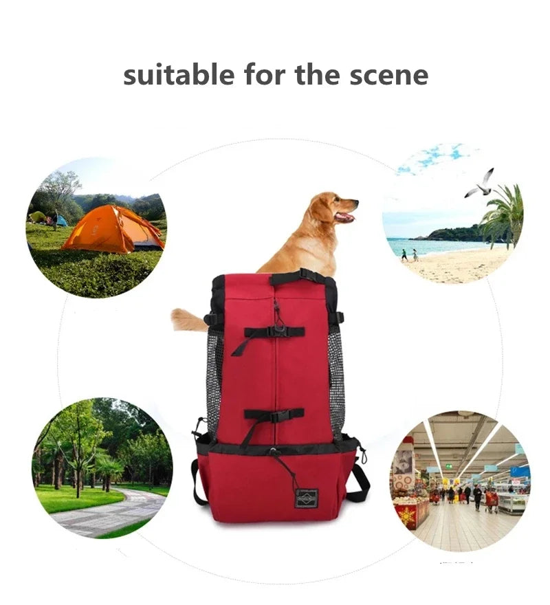 Breathable Dog Carrier Bag Portable Pet Outdoor Travel Backpack Reflective Carrier Bags for Cats French Bulldog Dog Accessories