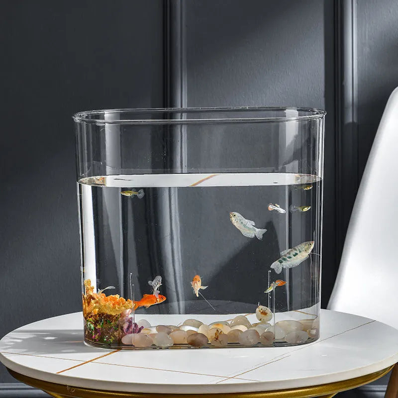 PET Aquarium Box Plastics Ultra-white Organic Glass Explosion-proof Fish Tank Tabletop Small Ecological Water Tank