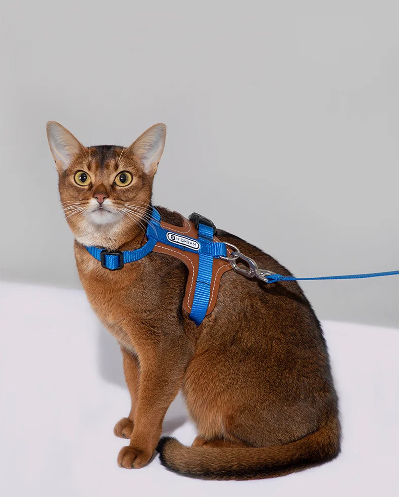 Cat Harnesses Leathert Suspenders Set Adjustable I-block Anti-Break Vest-style Cat Leash