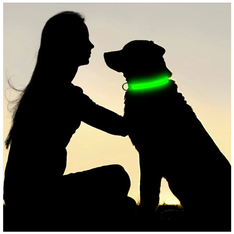 3 Modes Dog Luminous Charge Collar Led Usb Cat Dogs Collars Detachable Night Led Glow Dog Loss Prevention Collar Pet Accessories