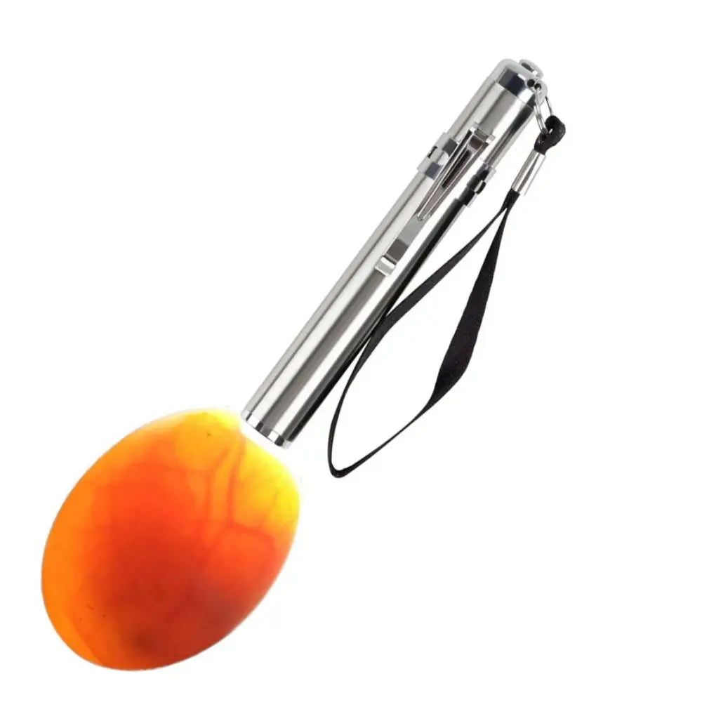 Egg Candler Tester, Bright Cool LED Light Candling Lamp for All Chicken Dark Quail Duck Canary Eggs