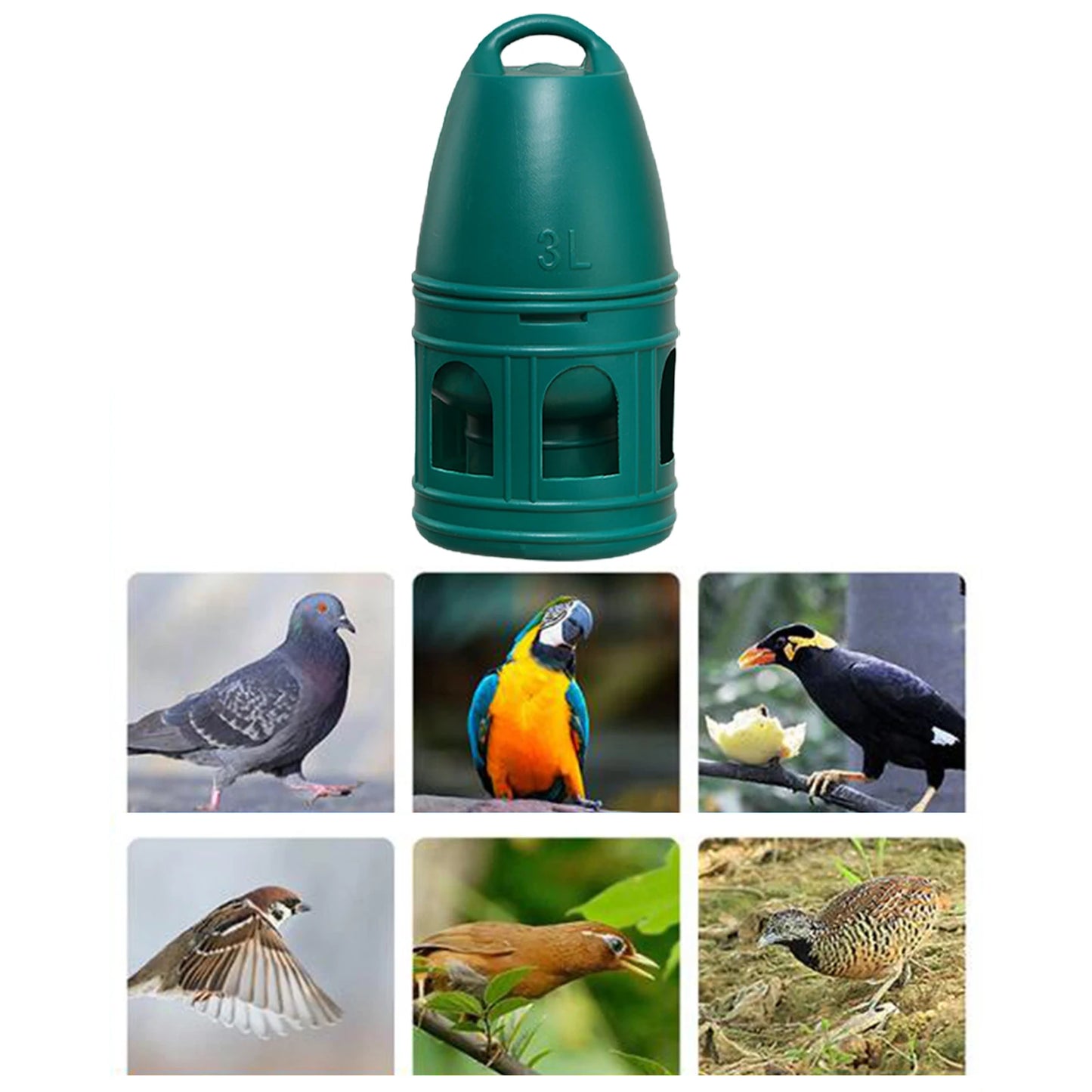 Bird Water Drinker with Hanging Handle Green 3L Large Capacity Water Pot Container for Parakeet Chicken Dove Feeder