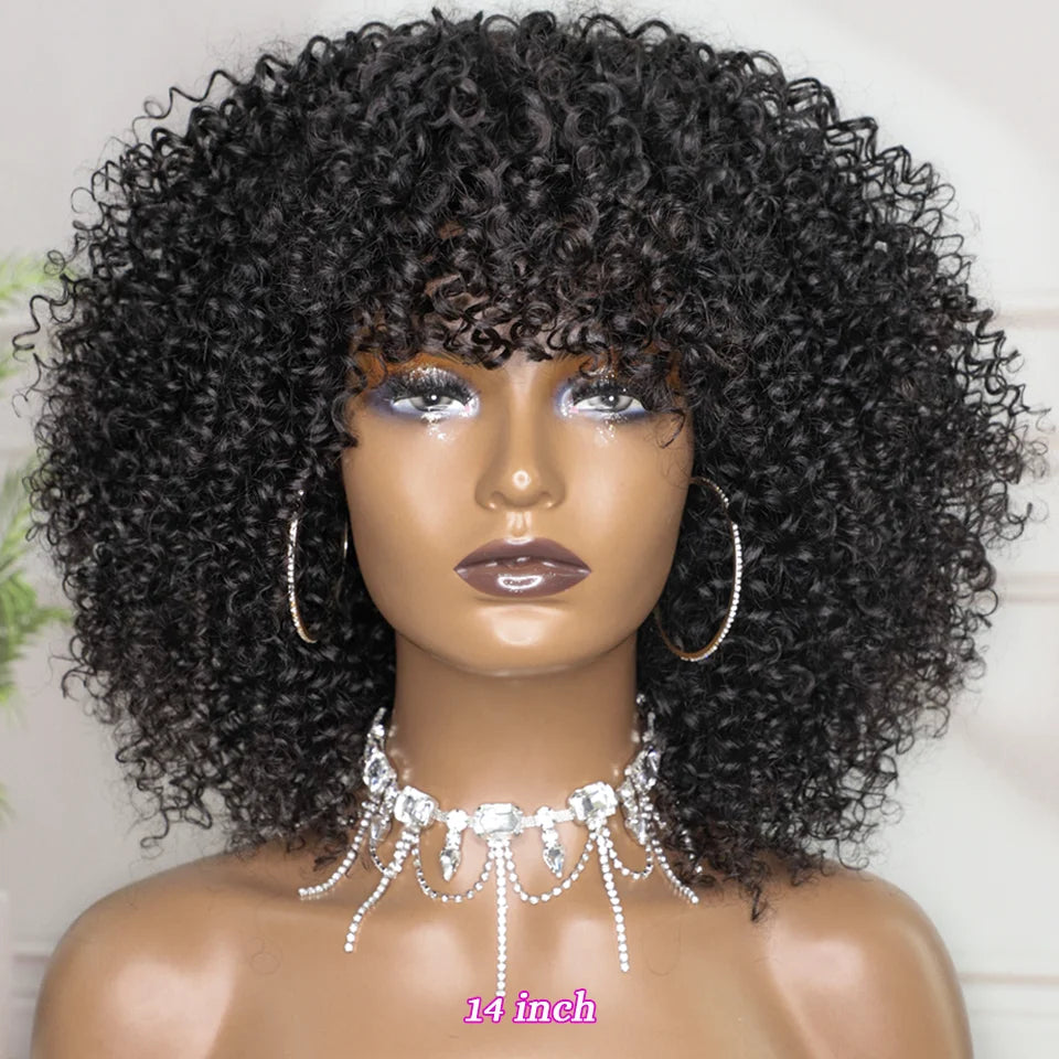 Short Curly Wig With Bangs Ready to Go Human Hair Afro Kinky Curly Wig Highlight Glueless Full Machine Made Wig 250 Density Remy