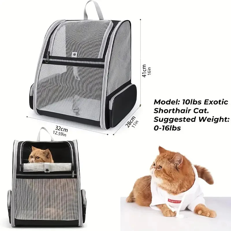 Pet Bag Outdoor Travel Cat Backpack Summer Breathable Foldable Cat and Dog Backpack