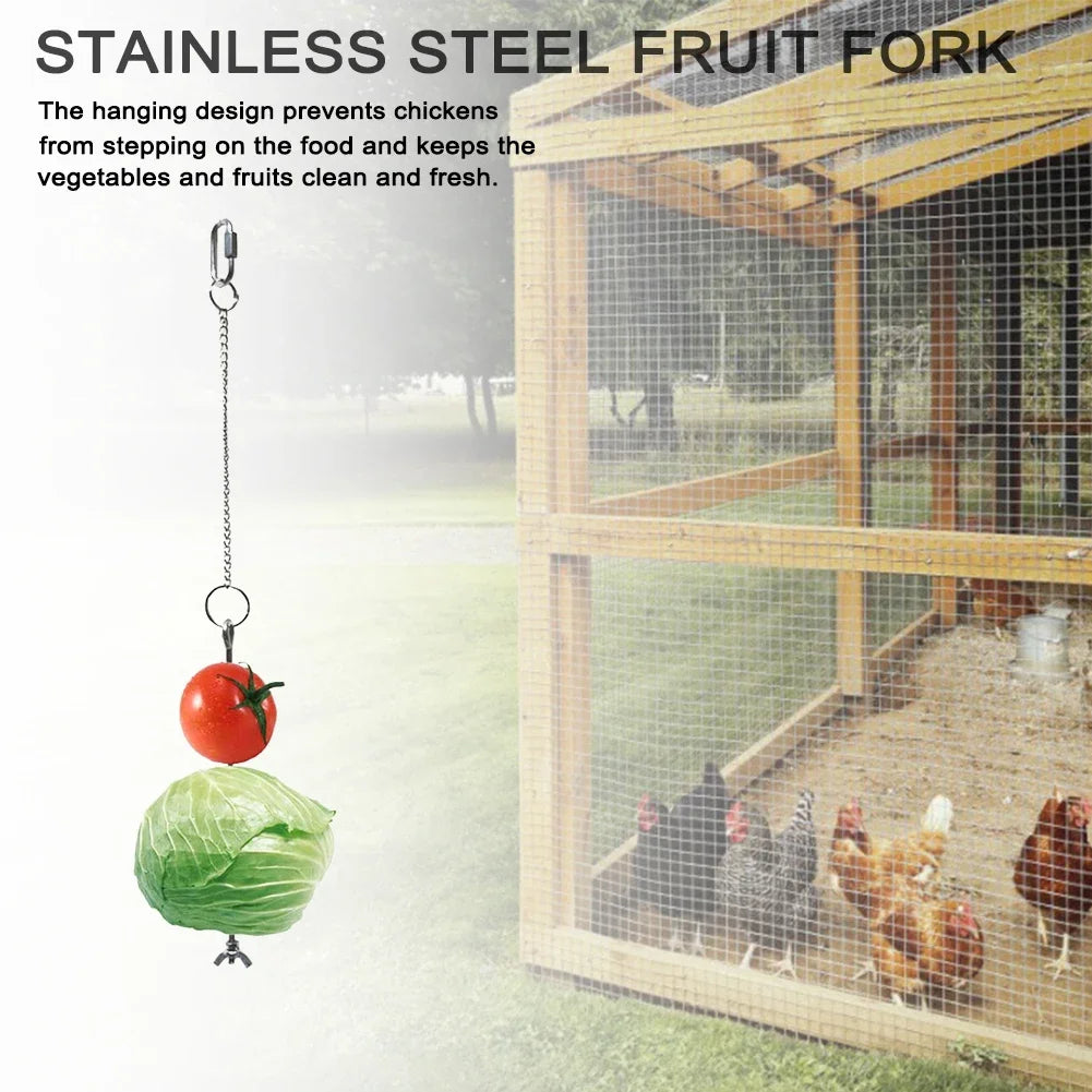 Pet Parrot Stainless Steel Feeder Fruit Corn Fork Toys Chicken Vegetables Holder Hanging Feeding Birdcage Accessories