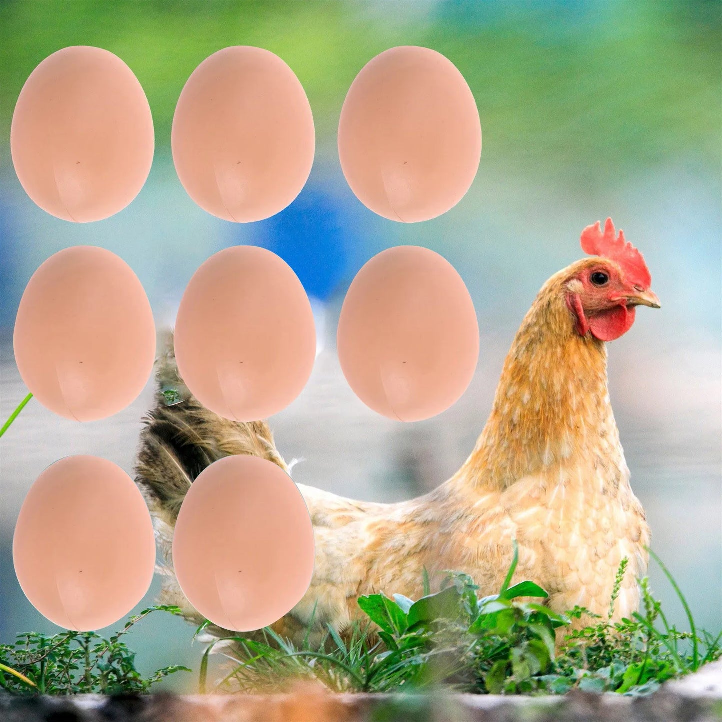 8pcs Simulation Eggs Set Fake Eggs Home Decor Food Eggs Farm Encourage Hens to Lay Eggs Hatching Chicken Egg Nest Accessories