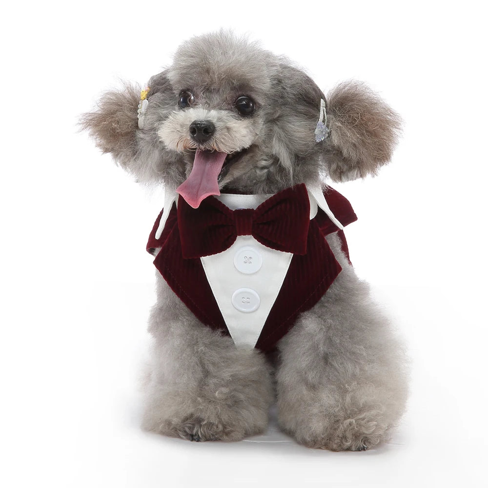 Pet Dog Clothes Cat  Prince Tuxedo Bow Tie Suit Chihuahua Coat Handsome Pets Dog Wedding Dress Suit Jumpsuit Christmas Costume