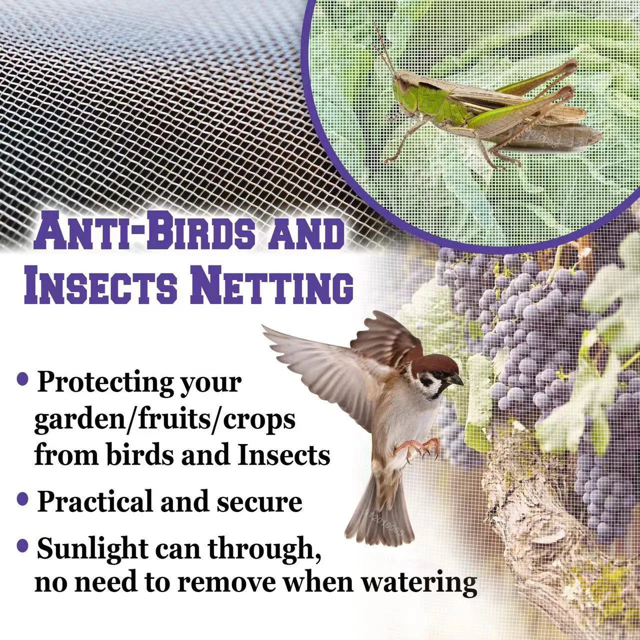 60 Mesh Plant Vegetables Insect Protection Net Garden Fruit Care Cover Flowers Protective Net Greenhouse Pest Control Anti-Bird