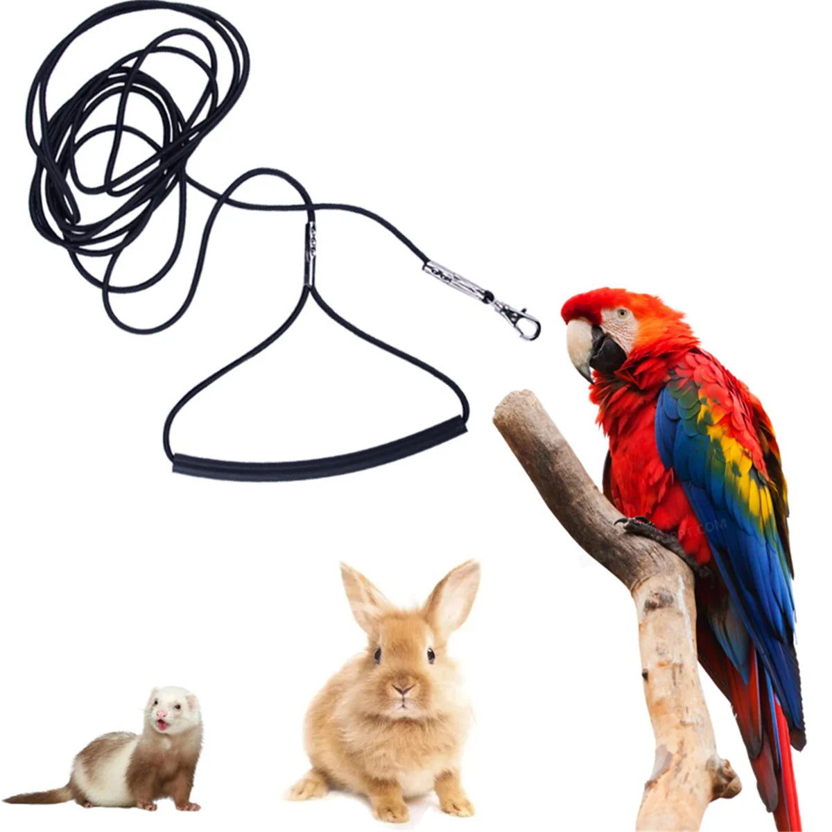 Parrot Bird Harness Leash Outdoor Flying Traction Straps Band Adjustable Anti-Bite Training Rope