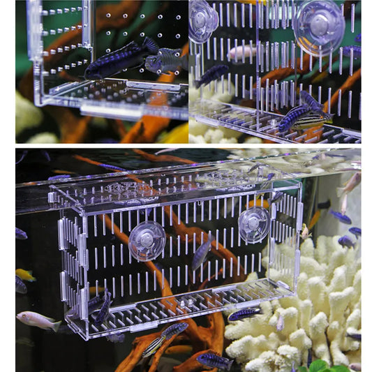 Aquarium Isolation Box Fish Tank Small Fry Breeding Box Transparent Acrylic Single Grid Double Grid Aquarium Supplies