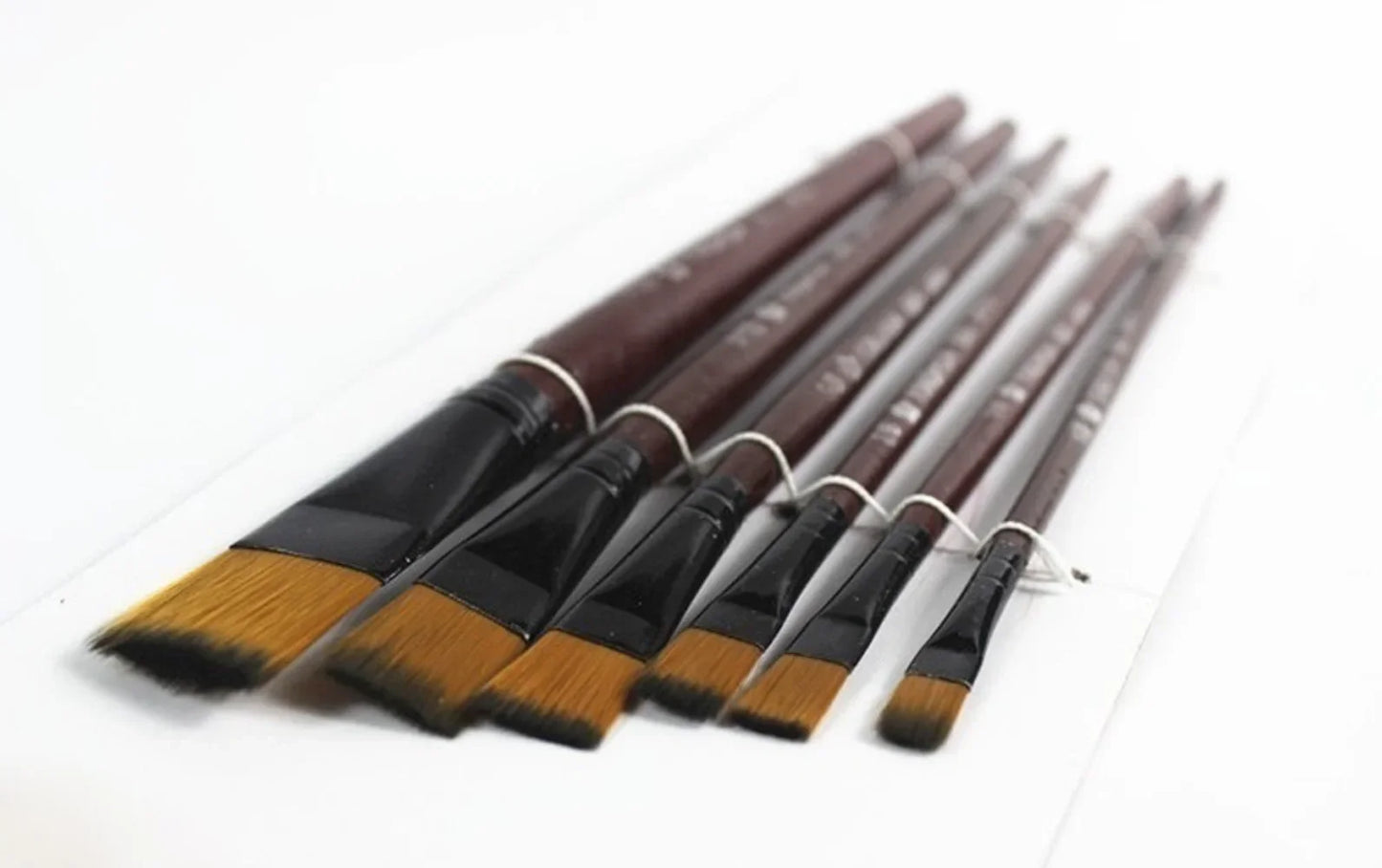 Professional Painting Set 6pcs Acrylic Oil Watercolors Artist Paint Brushes