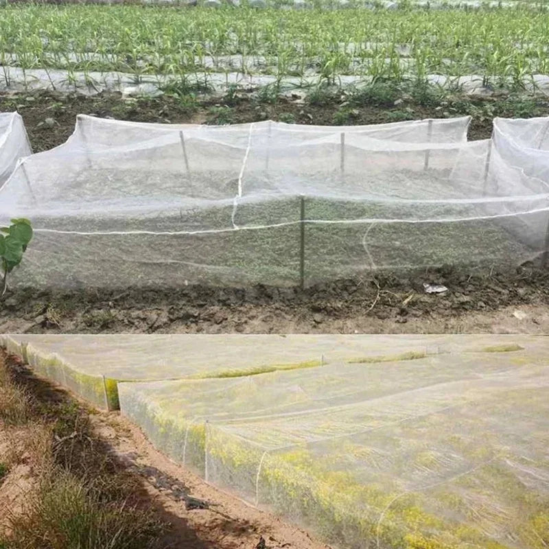 5/10/15M Garden Vegetable Insect Protection Net Flowers Protective Net Fruit Care Cover Network Greenhouse Pest Control Mesh Net