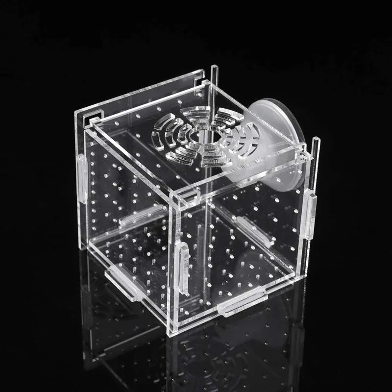 Aquarium Isolation Box Acrylic Fish Tank Isolation Box Hatchery Incubator with Suction Cups Single Grid Double Grid