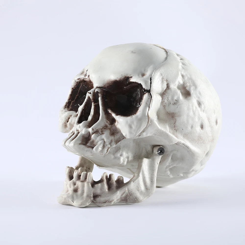 Halloween Skull Decor Prop Skeleton Head Realistic Looking Skulls for Adult Halloween Style Haunted House Party Home Decoration