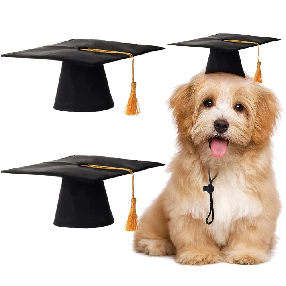 Dog Graduation Cap Funny Pet Grad Costume for Small Medium Large Dogs Puppy Dog Cap Doctor Hat Cat Graduation Apparel Accessory