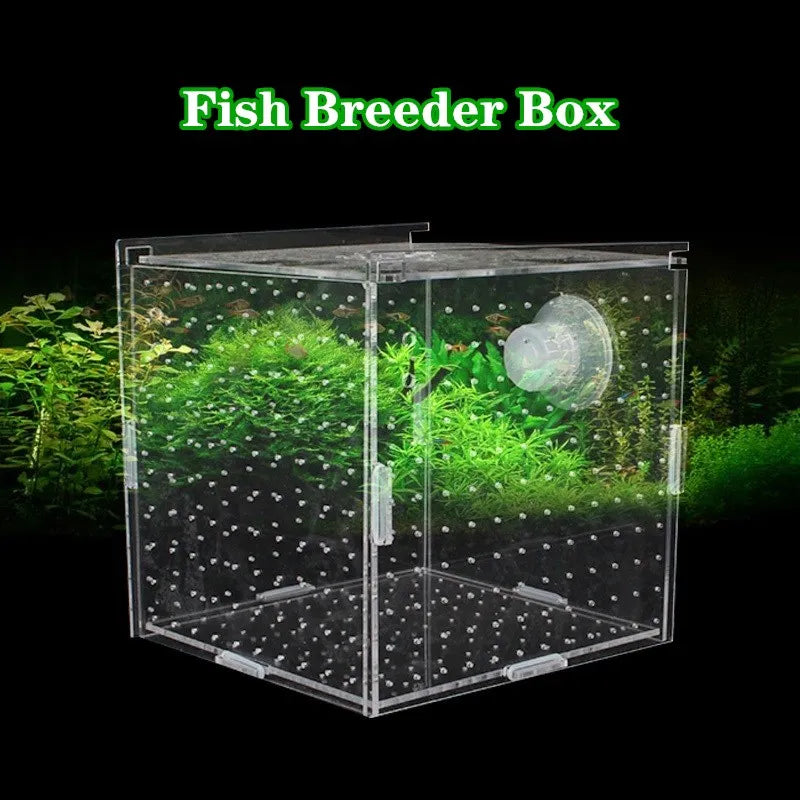 Aquarium Isolation Box Acrylic Fish Tank Isolation Box Hatchery Incubator with Suction Cups Single Grid Double Grid