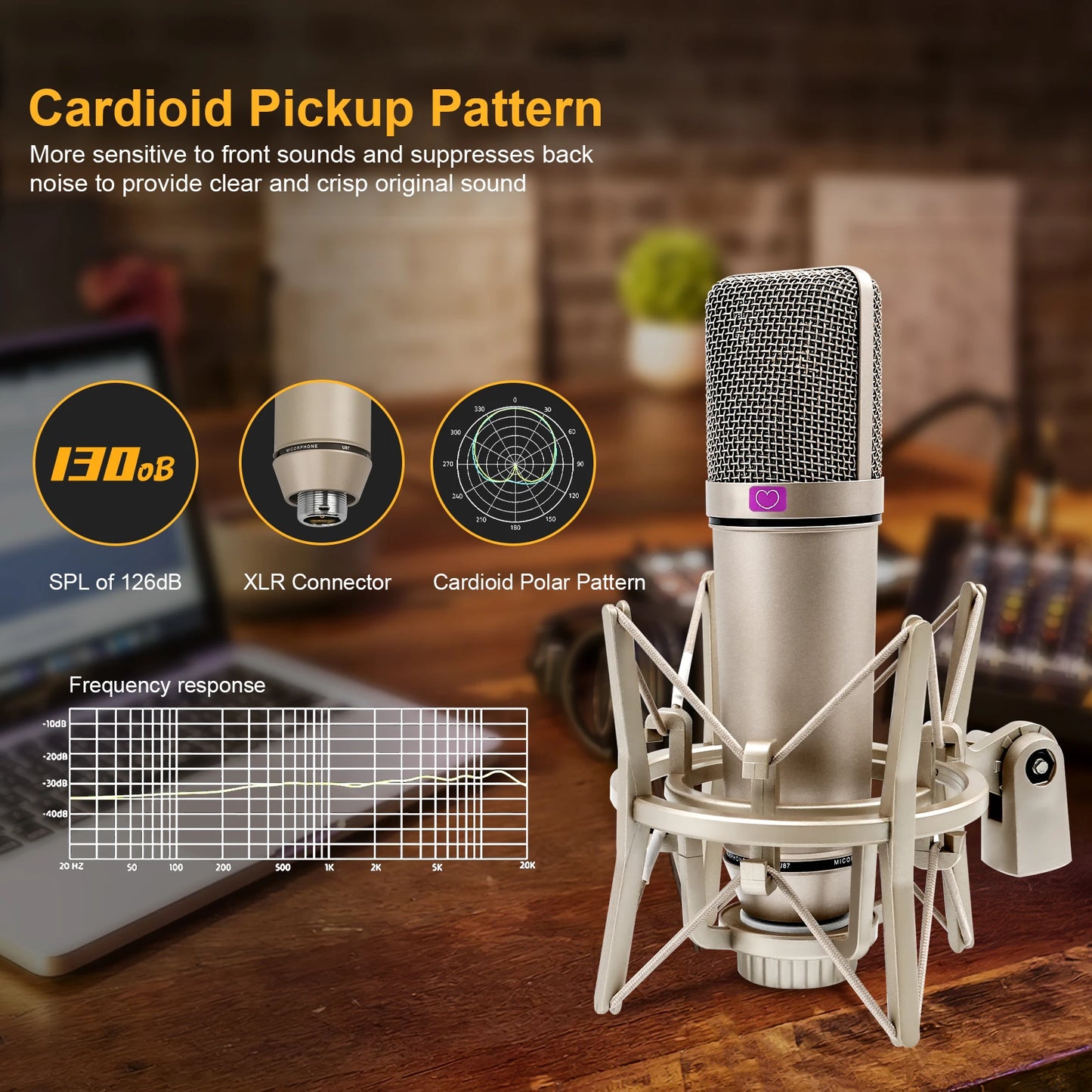 U87 AI XLR Condenser Microphone Professional Cardioid Studio Mic for Recording Podcasting Voice Over Streaming Home Studio