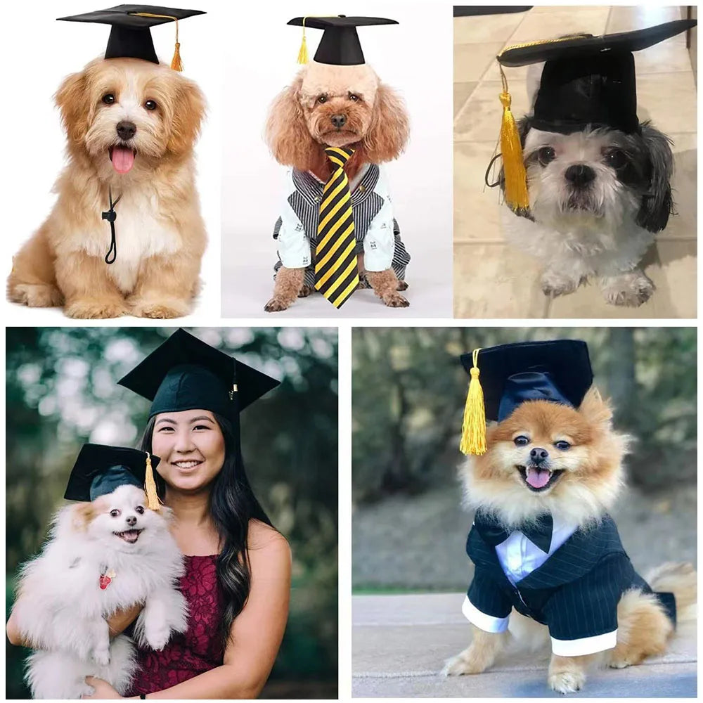 Dog Graduation Cap Funny Pet Grad Costume for Small Medium Large Dogs Puppy Dog Cap Doctor Hat Cat Graduation Apparel Accessory