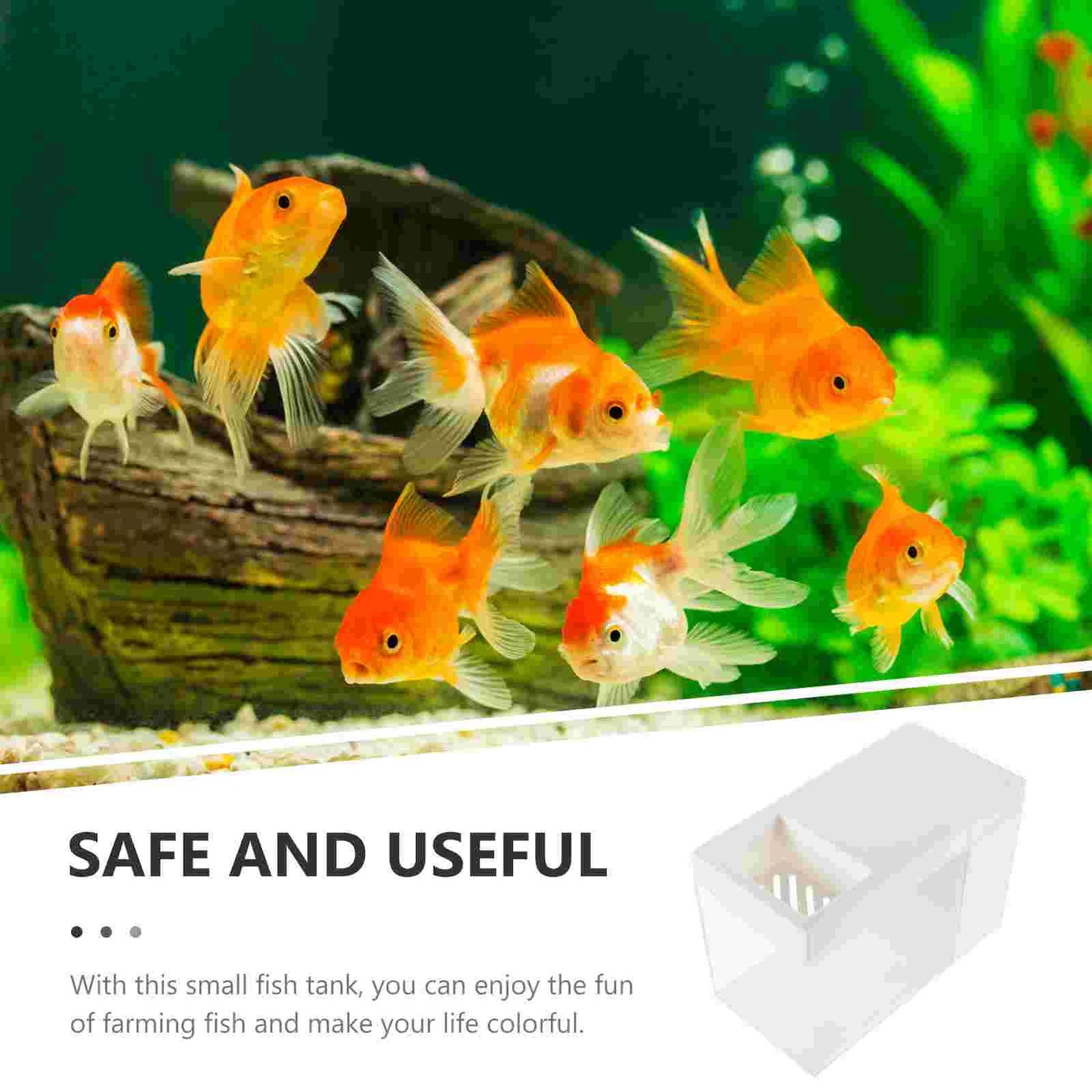 Ecological Fish Tank Micro Landscape Aquarium Desktop Hydroponic Plants Betta Adornment Acrylic Office Small Decor