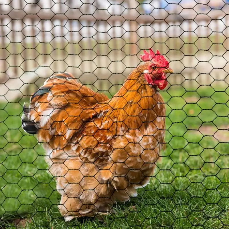 Chicken Wire Galvanized Hexagonal Chicken Coop Mesh Netting Pet Rabbit Chicken Fencing With 50 Zip Ties Plier And Gloves For