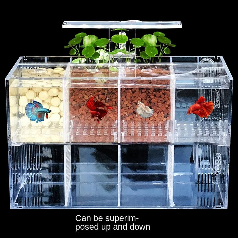 Aquarium Fish Tank For Betta Fish & Aquatic Pets LED Light Fishbowl Acrylic Isolation Small Plexiglass Pump Filter Fishbowls