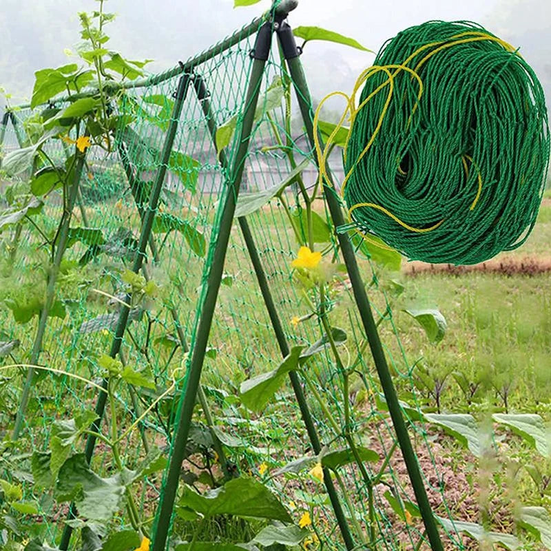 Garden Climbing Net for Climbing Plant Growing Support Holder Vegetables Vine Fixed Netting Garden Farm Protect Decor