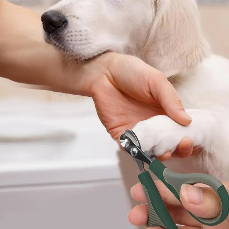 Professional Non Slip Handles Pet Nail Clipper Avoid Over Cutting Stainless Steel Scissors Cat Dog For Claw Care Grooming