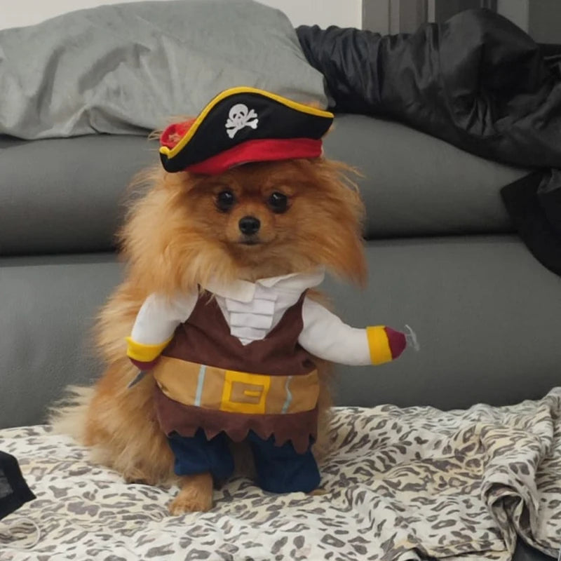 Halloween Funny Dog Cat Costume Party Fancy Dressing Up Pirate Suit Pet Corsair Clothes Jacket Chihuahua French Bulldog Cosplay