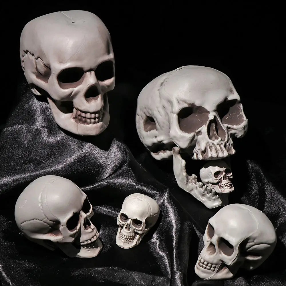 All Size Human Skull Head Skeleton Halloween Style Photo Prop Home Party Decor Game Supplies