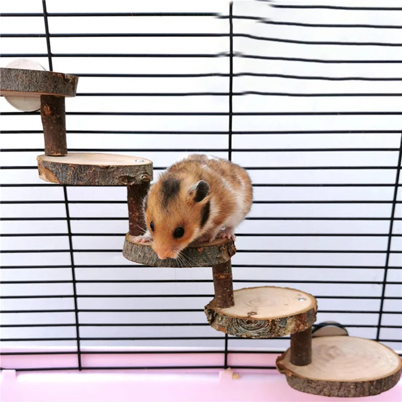 Hamster Wooden Ladder Toy Climbing Stairs Birds Parrot Exercise Perches Stand Platform Teeth Care Molar Toys Cage Accessories