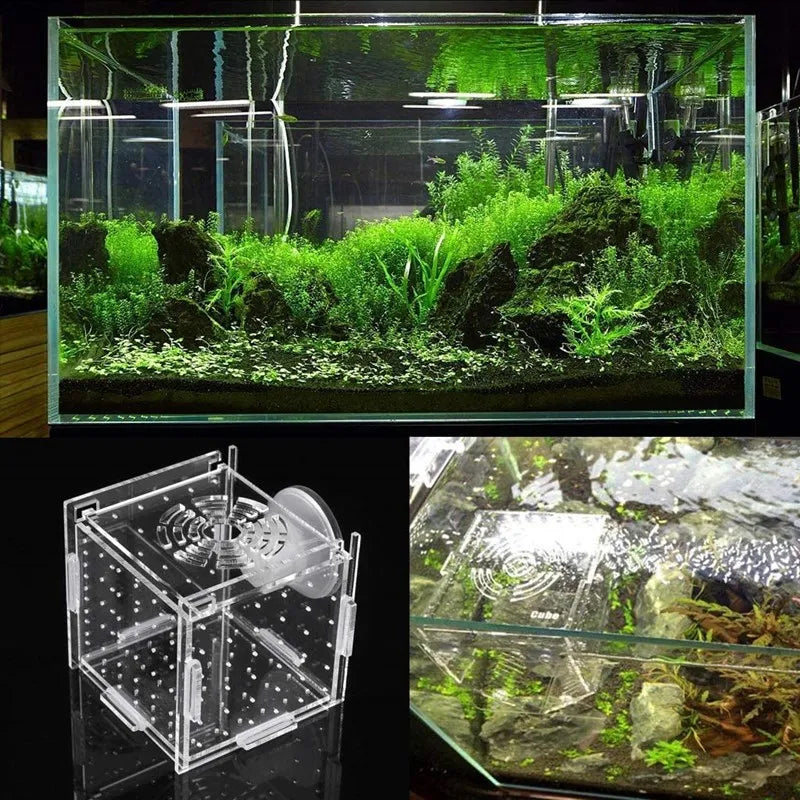 Aquarium Isolation Box Acrylic Fish Tank Isolation Box Hatchery Incubator with Suction Cups Single Grid Double Grid