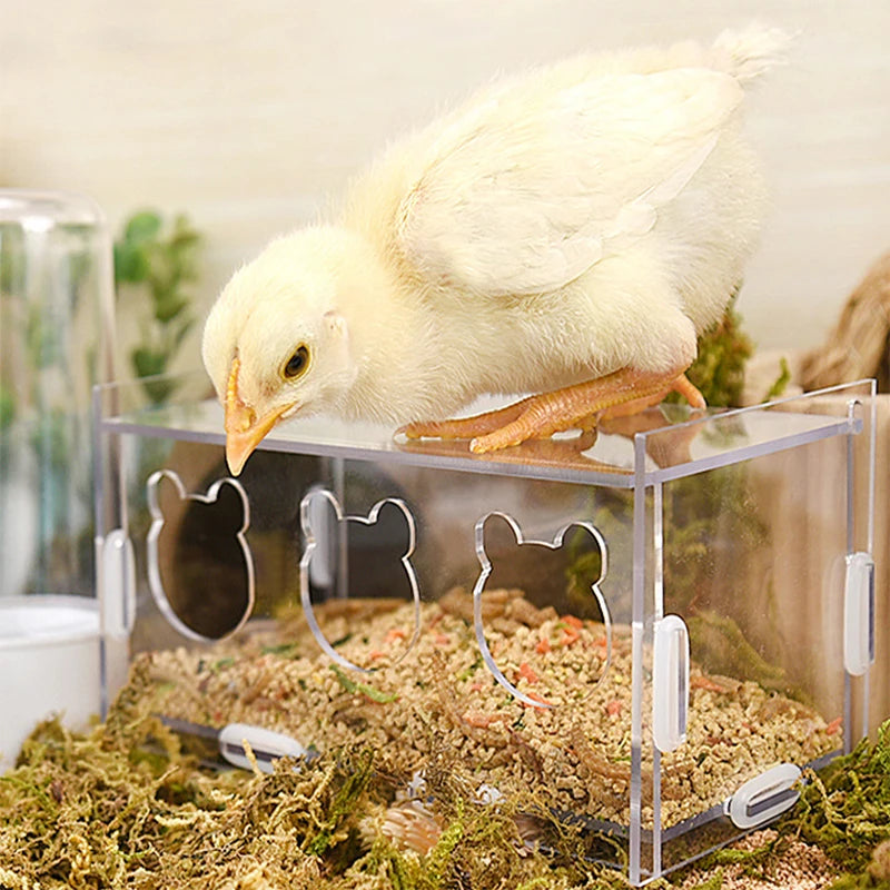 3/5 Holes Rutin Chicken Acrylic Feeder Transparent Splash-Proof Food Basin Large-Capacity Trough Feeding Box Put Grain Feed Box