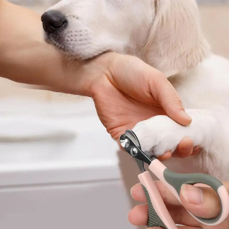 Professional Non Slip Handles Pet Nail Clipper Avoid Over Cutting Stainless Steel Scissors Cat Dog For Claw Care Grooming