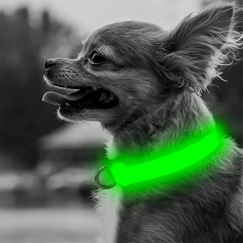 Adjustable LED Dog Collar Glowing Anti-lost Night Safety Pet Luminous Collar Flashing Necklace for Small Medium Large Dogs Cat