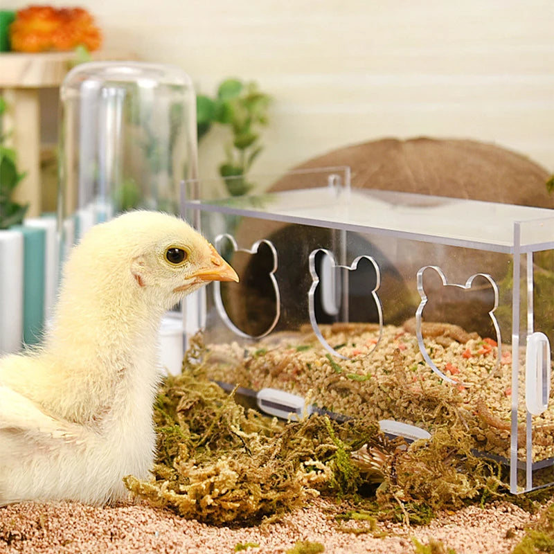 3/5 Holes Rutin Chicken Acrylic Feeder Transparent Splash-Proof Food Basin Large-Capacity Trough Feeding Box Put Grain Feed Box