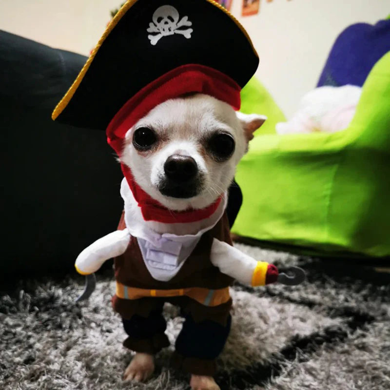 Halloween Funny Dog Cat Costume Party Fancy Dressing Up Pirate Suit Pet Corsair Clothes Jacket Chihuahua French Bulldog Cosplay