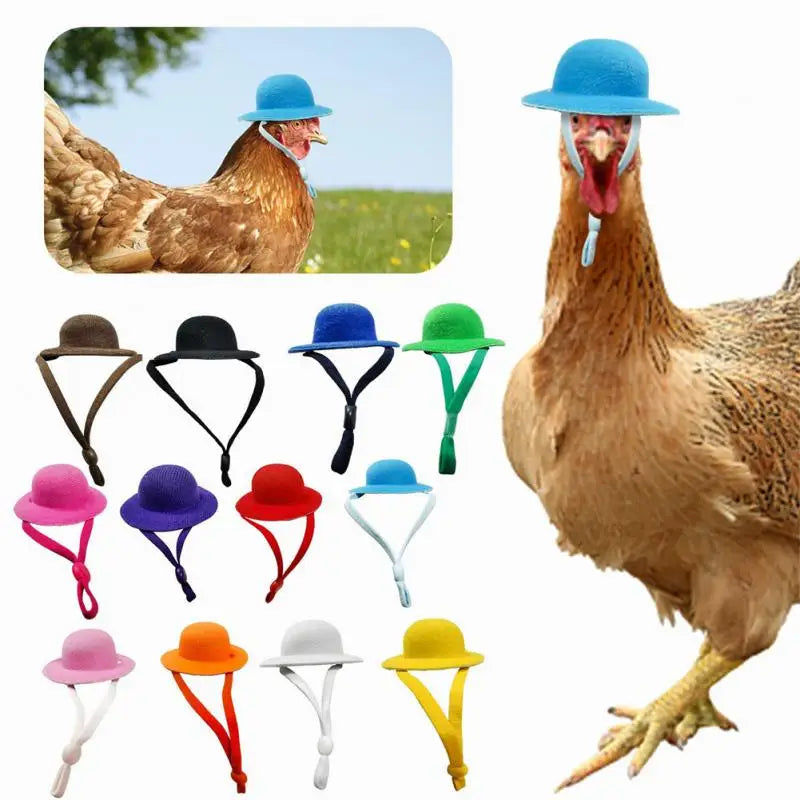 1PCS Chicken Hats For Hen Small Pets Funny Chick Accessories Feather Top Poule 2022 New Fowl Supplies Шлем Для Kурицы