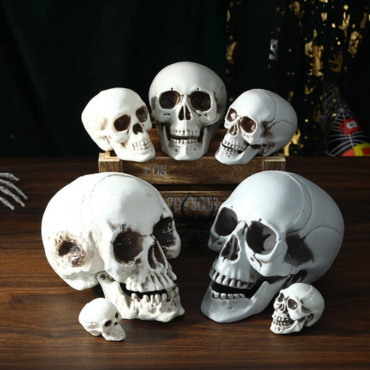 Halloween Skull Decor Prop Skeleton Head Realistic Looking Skulls for Adult Halloween Style Haunted House Party Home Decoration